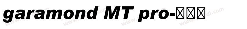 garamond MT pro字体转换